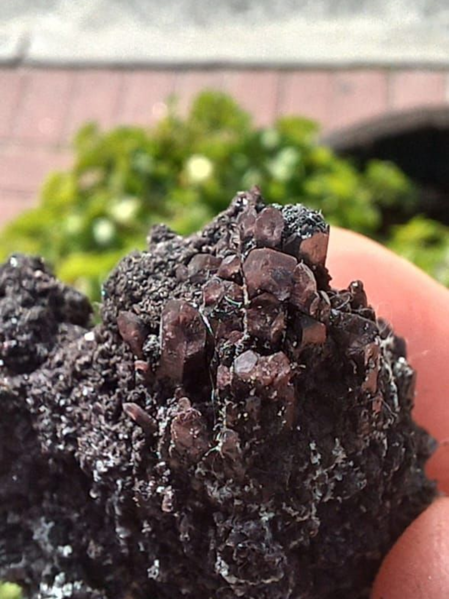 MANGANITE 