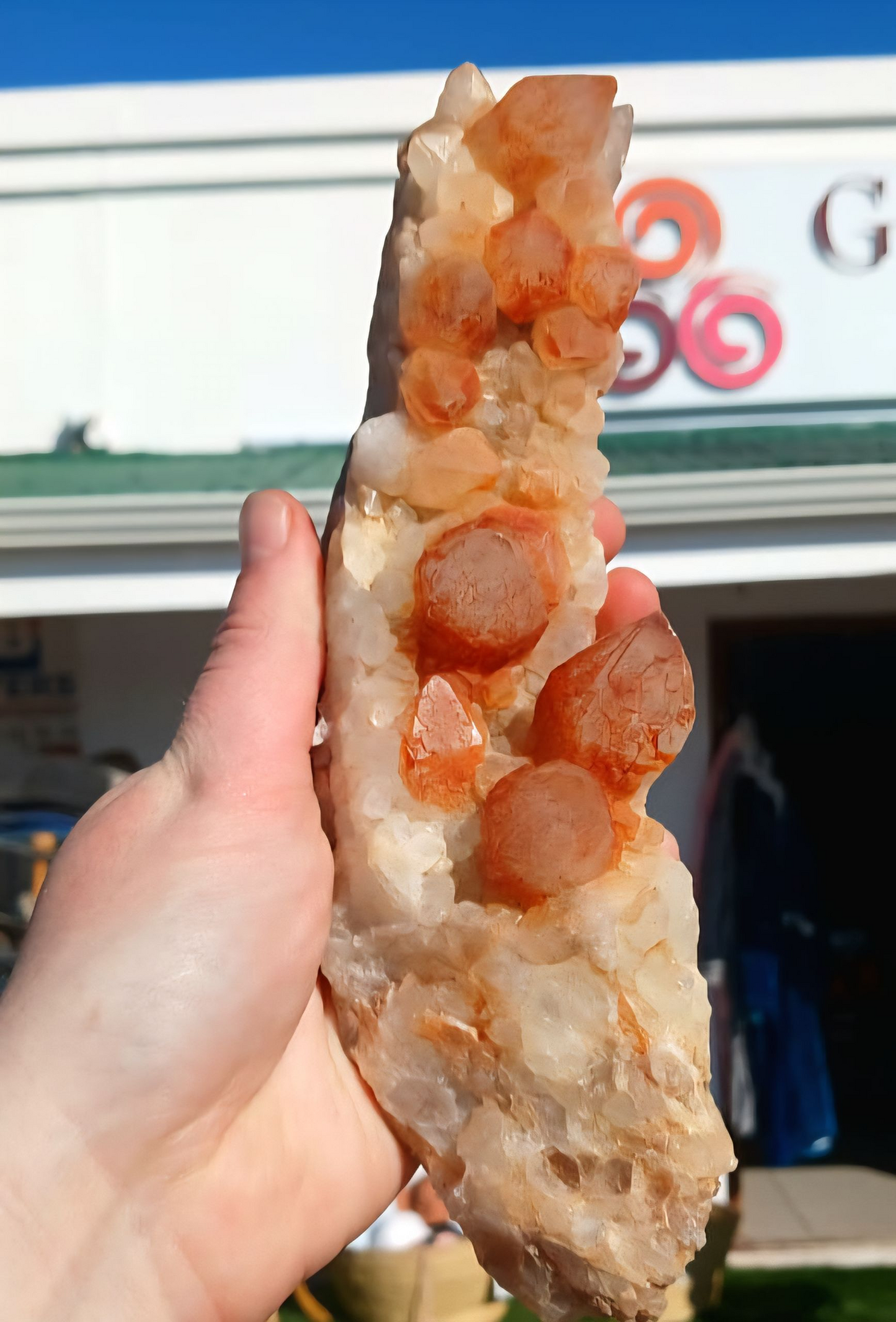 ORANGE RIVER CLUSTER 21CM
