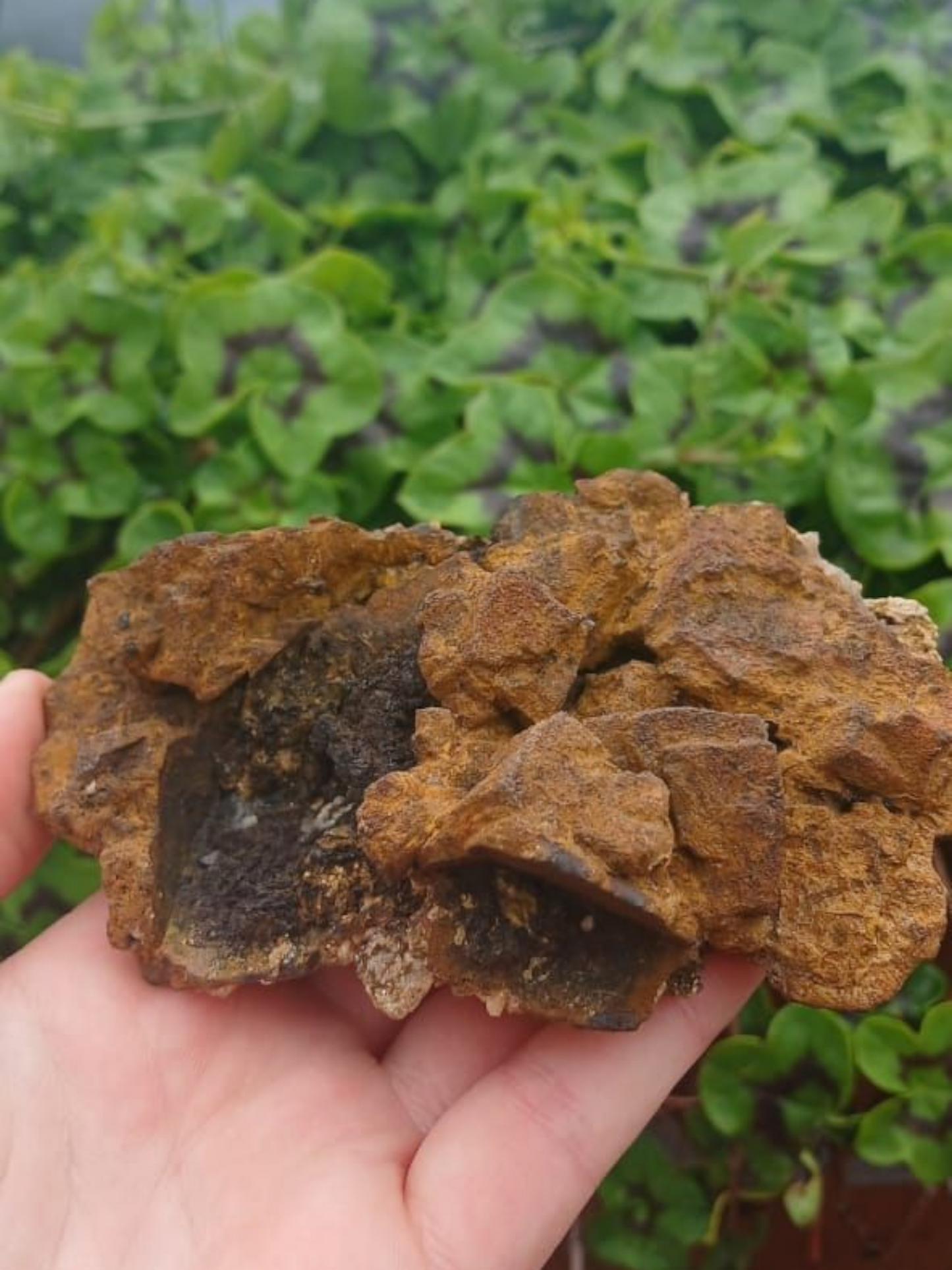 LIMONITE