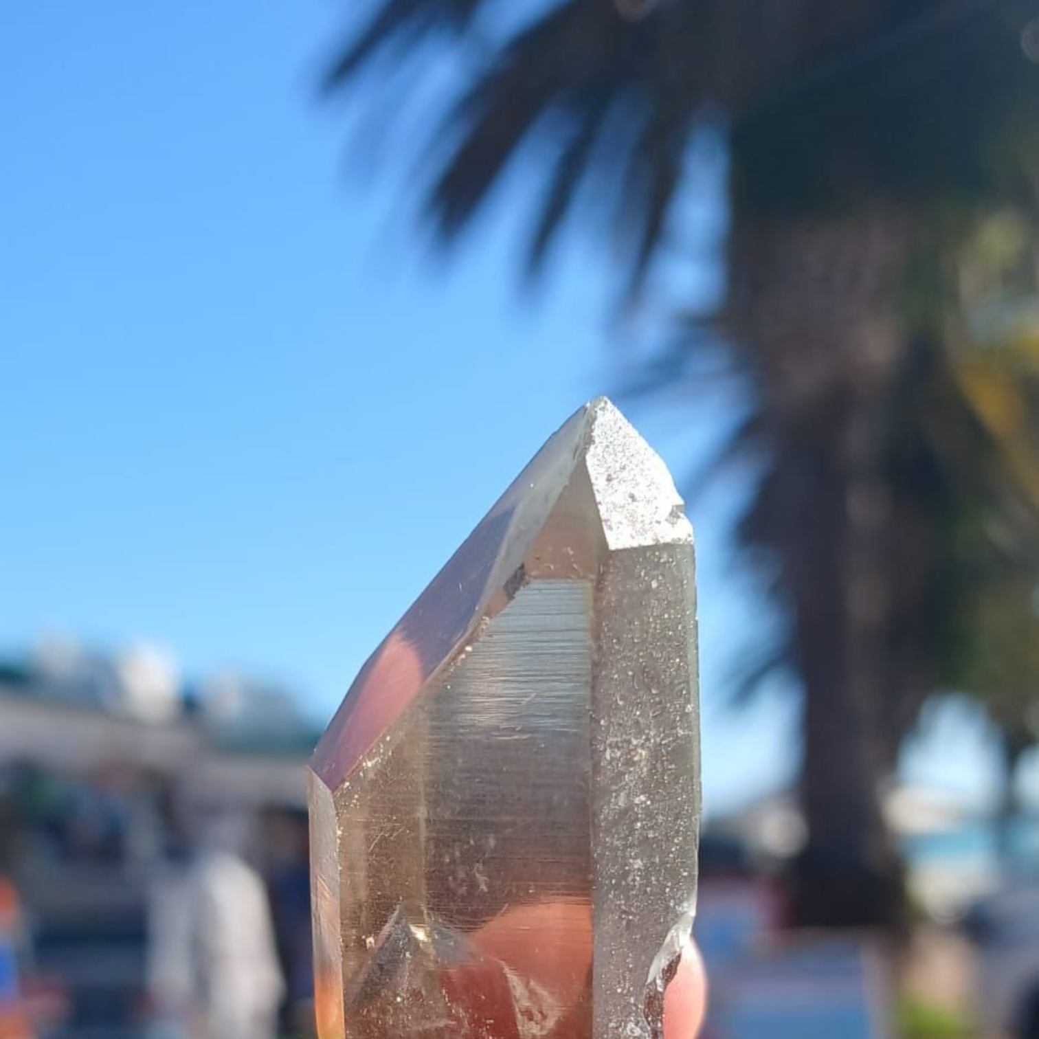 SMOKEY QUARTZ POINTS WITH WINDOW TERMINATIONS 