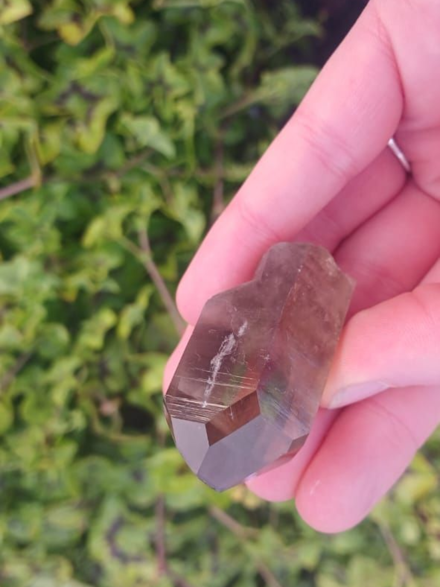 SMOKEY QUARTZ WINDOW 