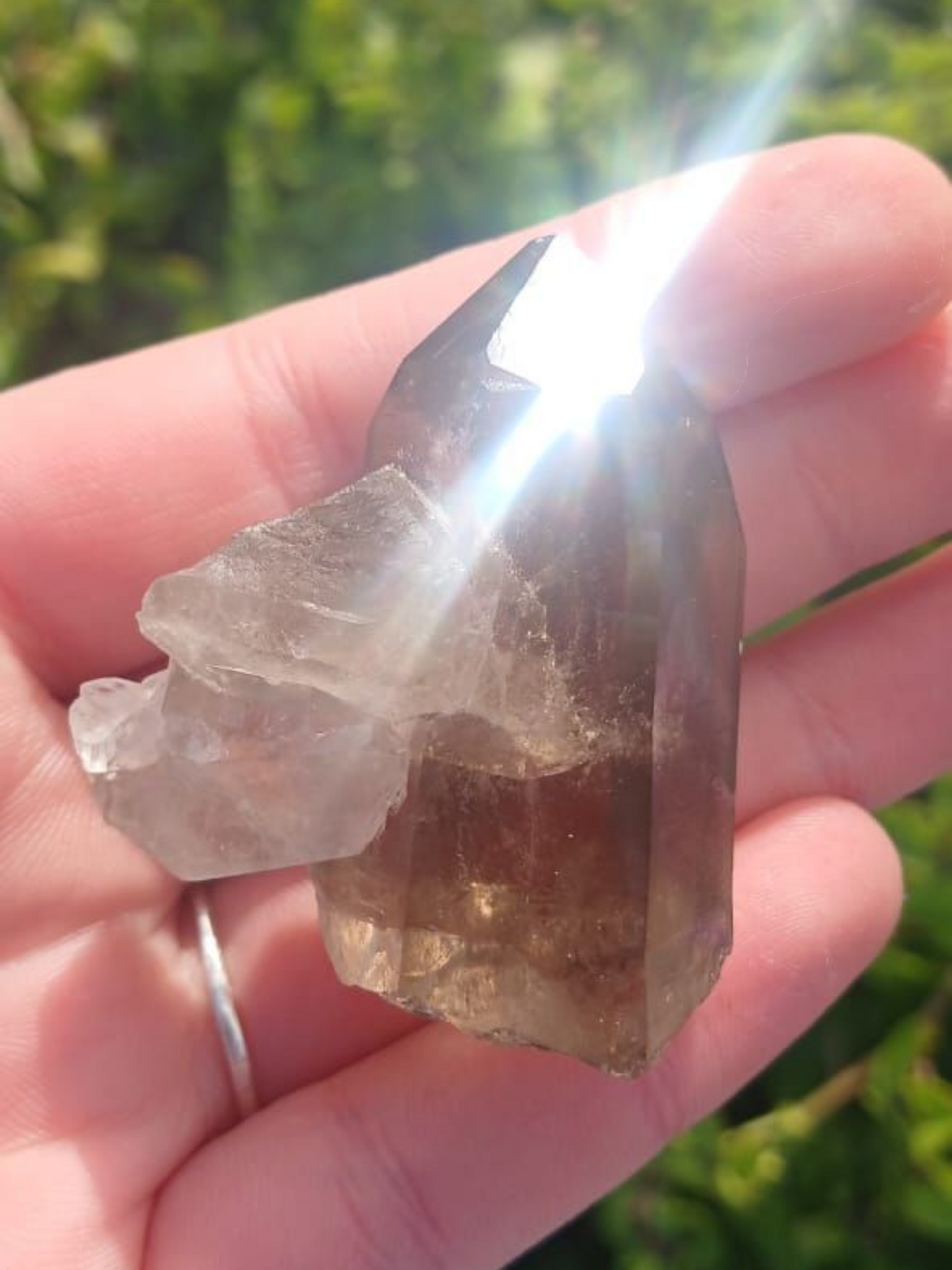 SMOKEY QUARTZ POINT WINDOW 