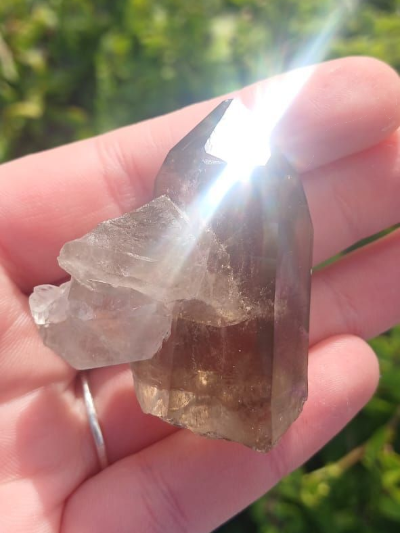 SMOKEY QUARTZ POINT WINDOW 