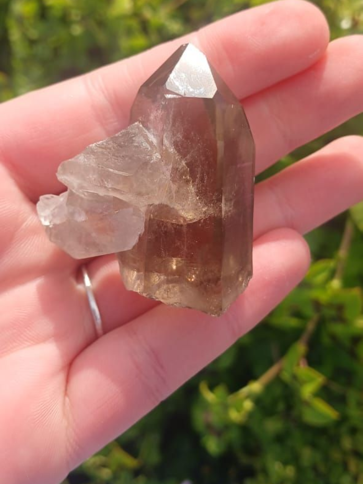 SMOKEY QUARTZ POINT WINDOW 