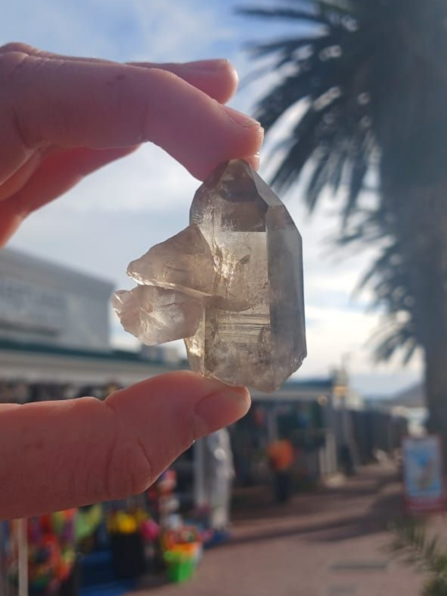 SMOKEY QUARTZ POINT WINDOW 