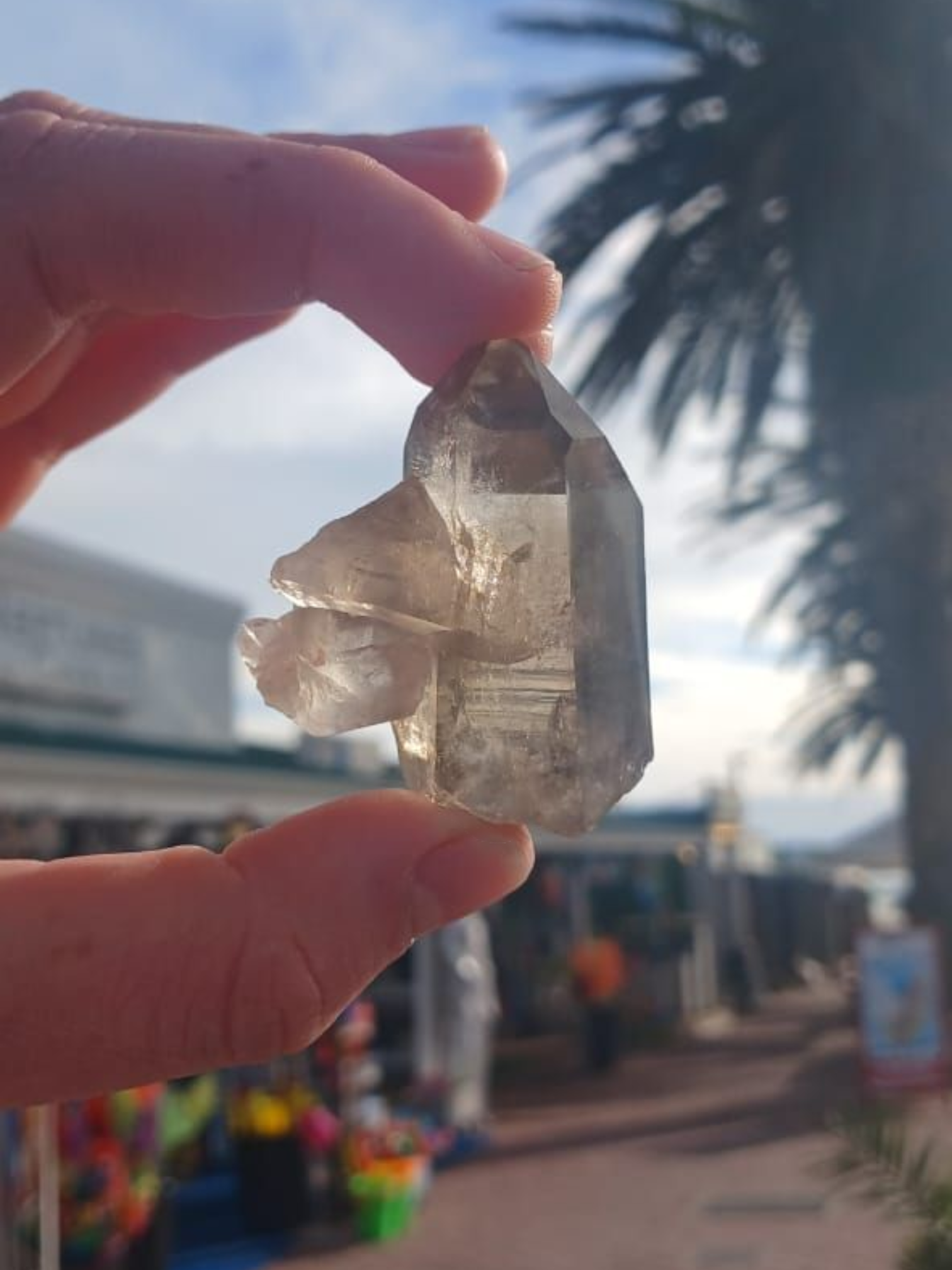 SMOKEY QUARTZ POINT WINDOW 