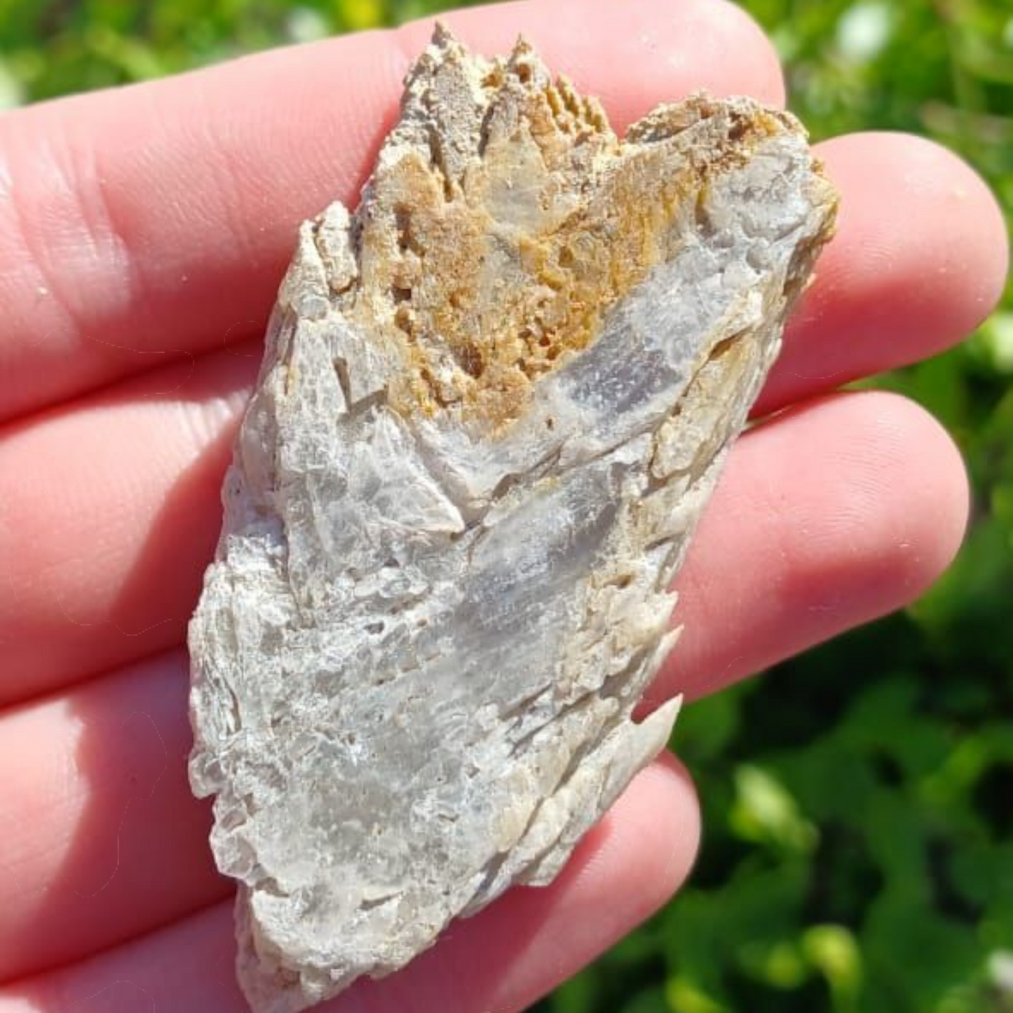 SELENITE SPECIMEN 