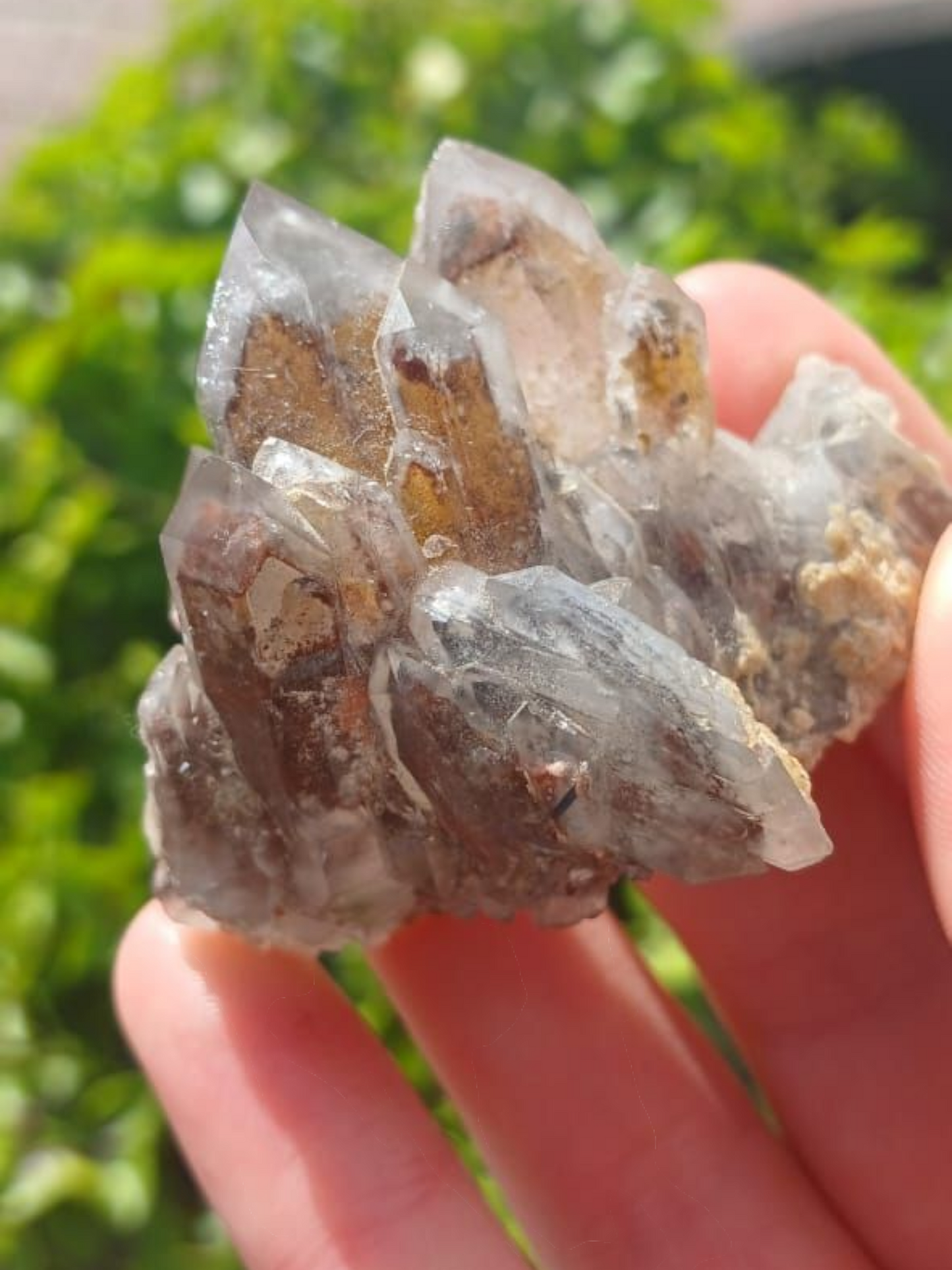 ORANGE RIVER PHANTOM QUARTZ SPECIMEN