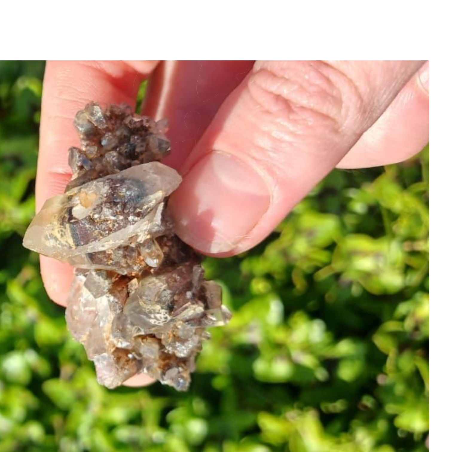 NORTHERN CAPE AMETHYST SPECIMEN 