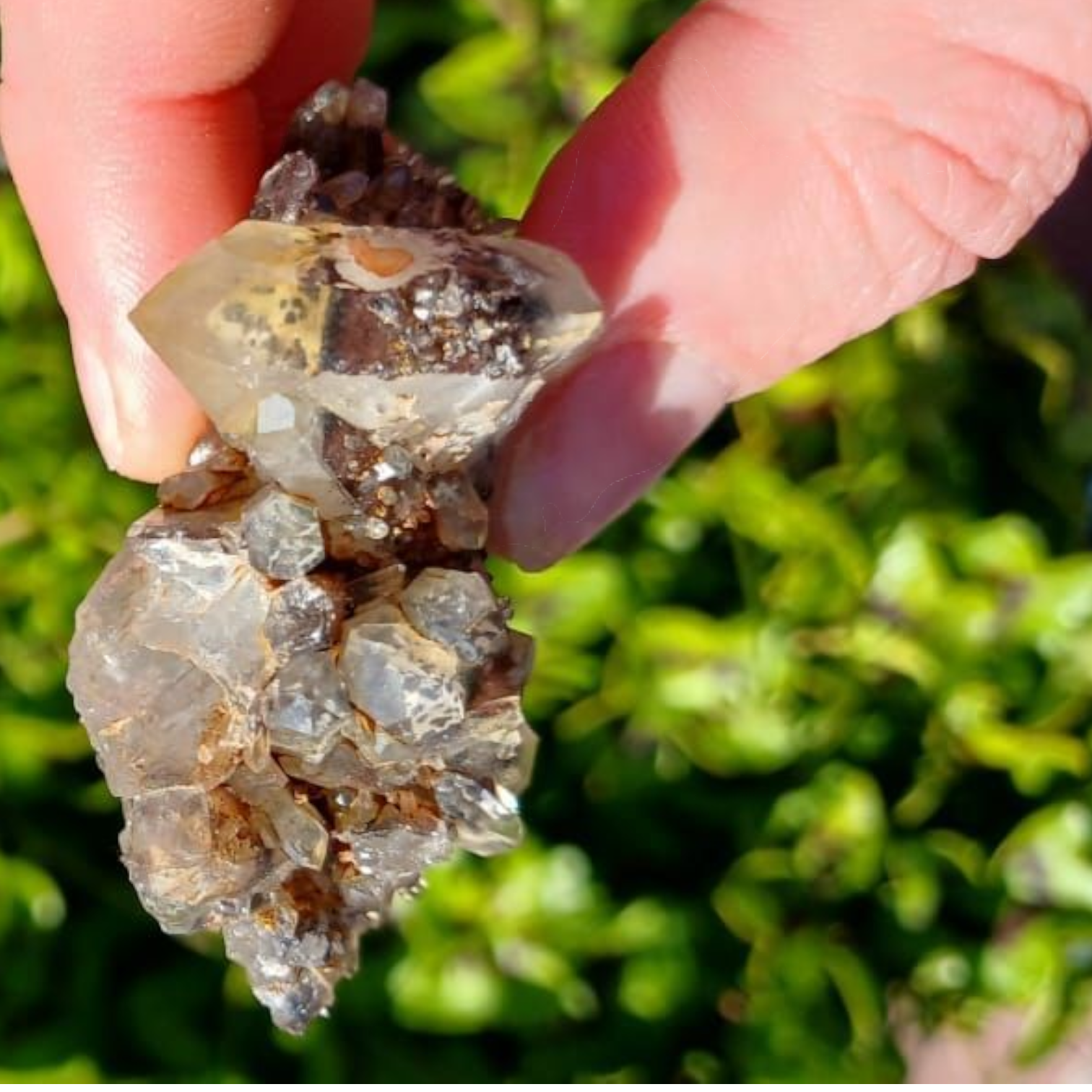 NORTHERN CAPE AMETHYST SPECIMEN 