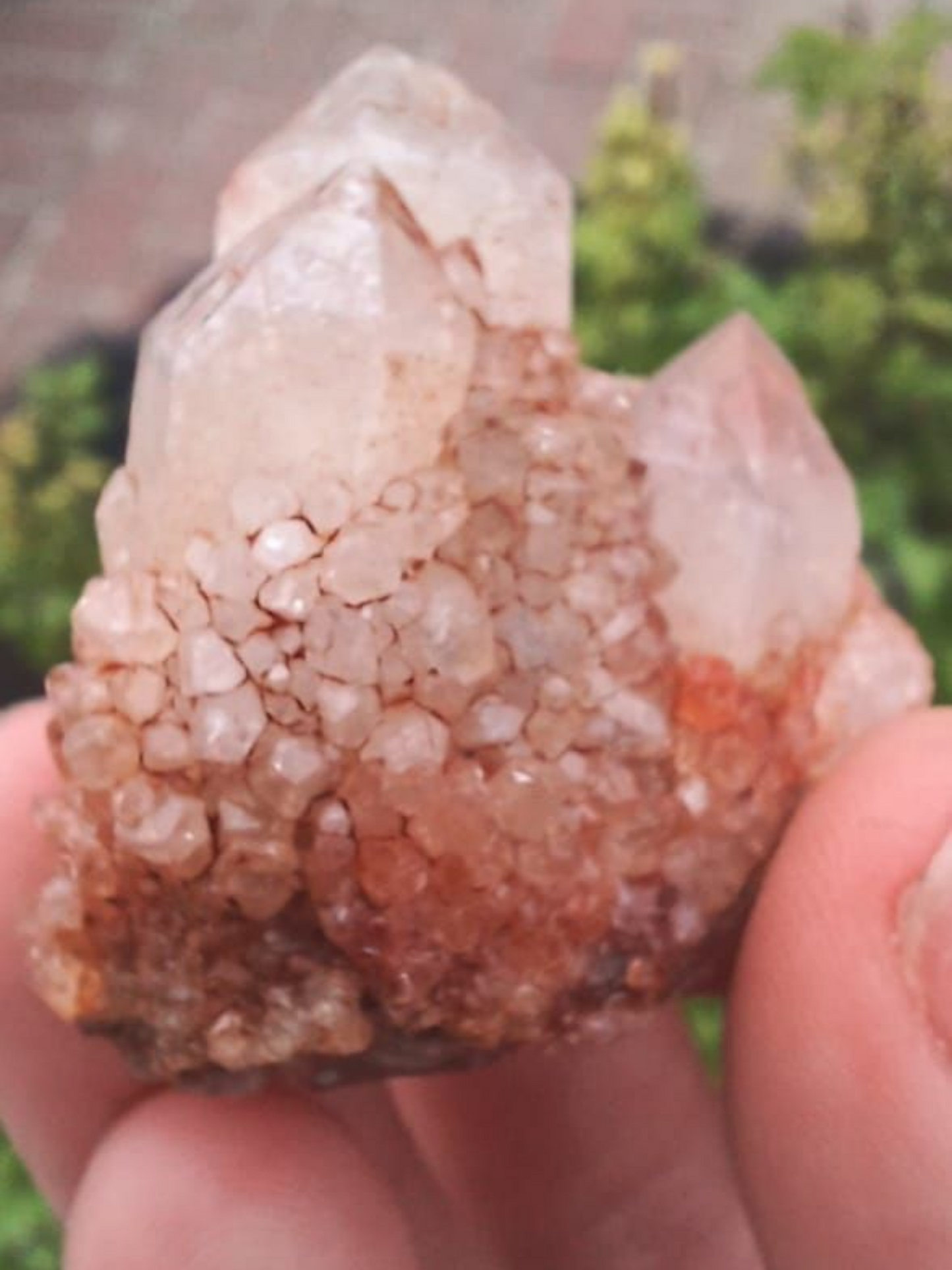 NORTHERN CAPE PINEAPPLE QUARTZ 