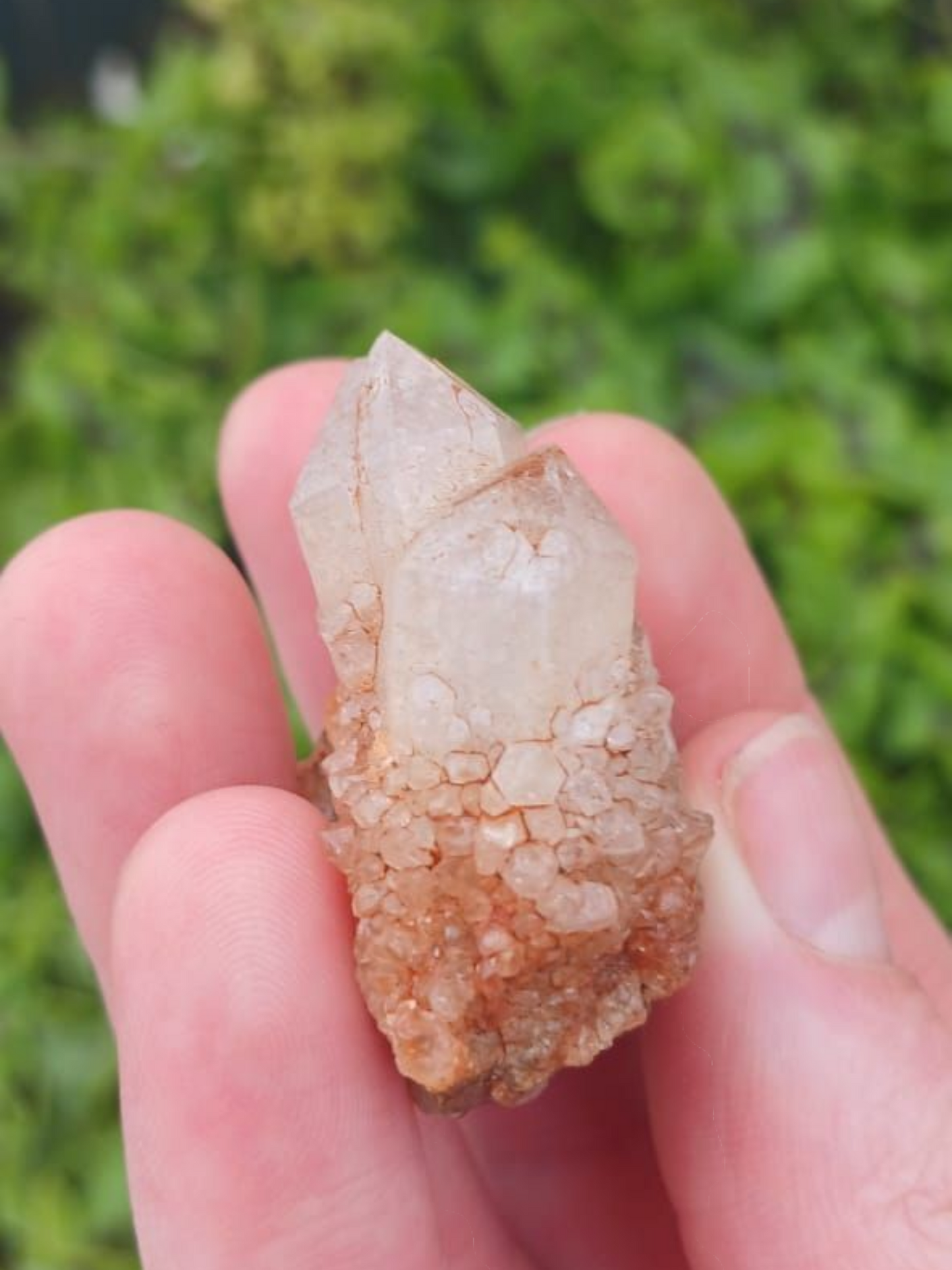 NORTHERN CAPE PINEAPPLE QUARTZ 