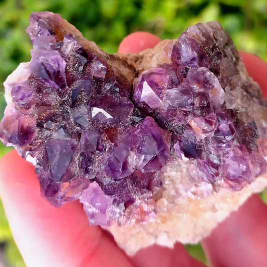 AMATHYST DRUSE CLUSTER 