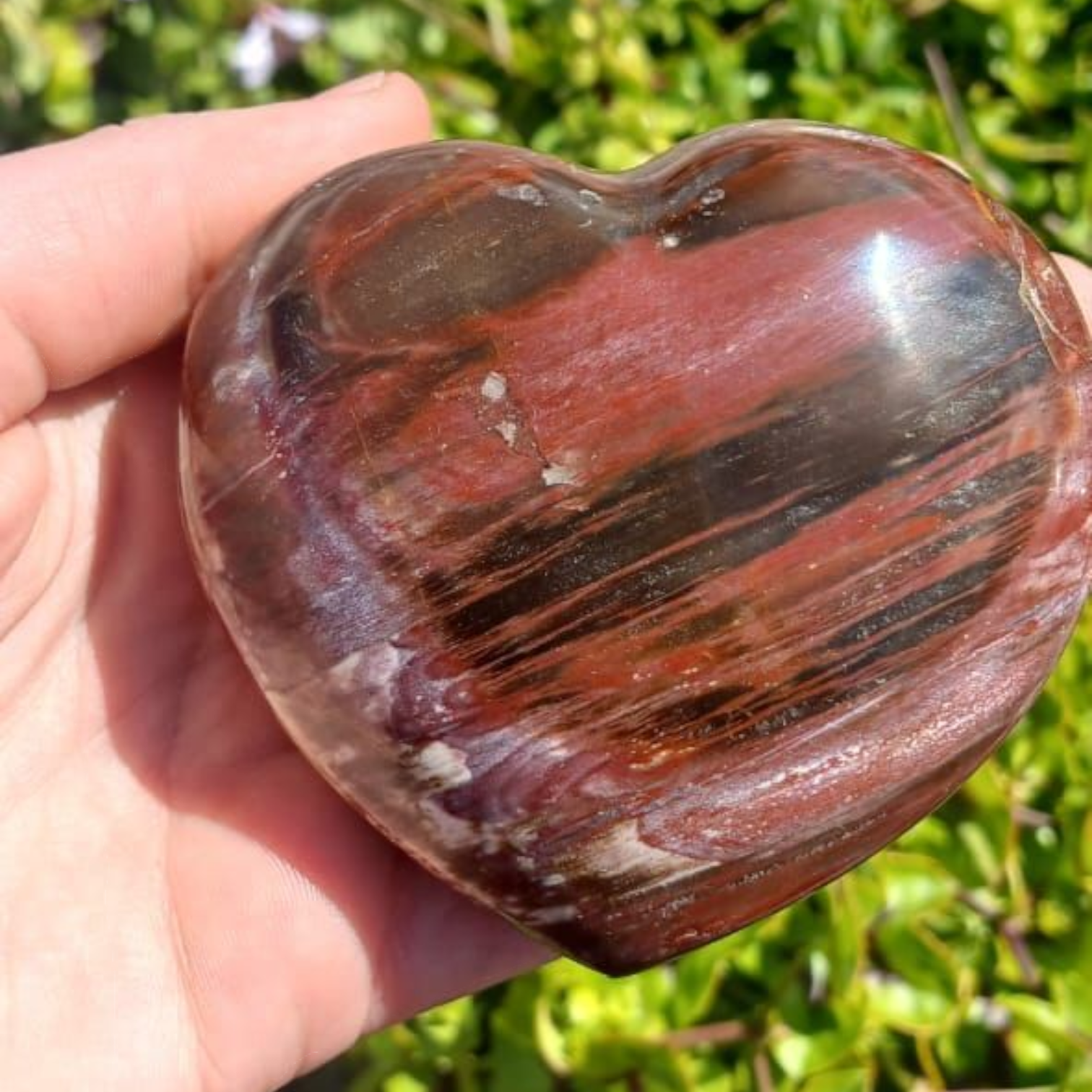 PETRIFIED WOOD HEART MADAGASCAR 