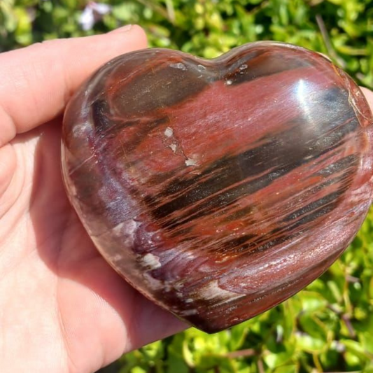 PETRIFIED WOOD HEART MADAGASCAR 