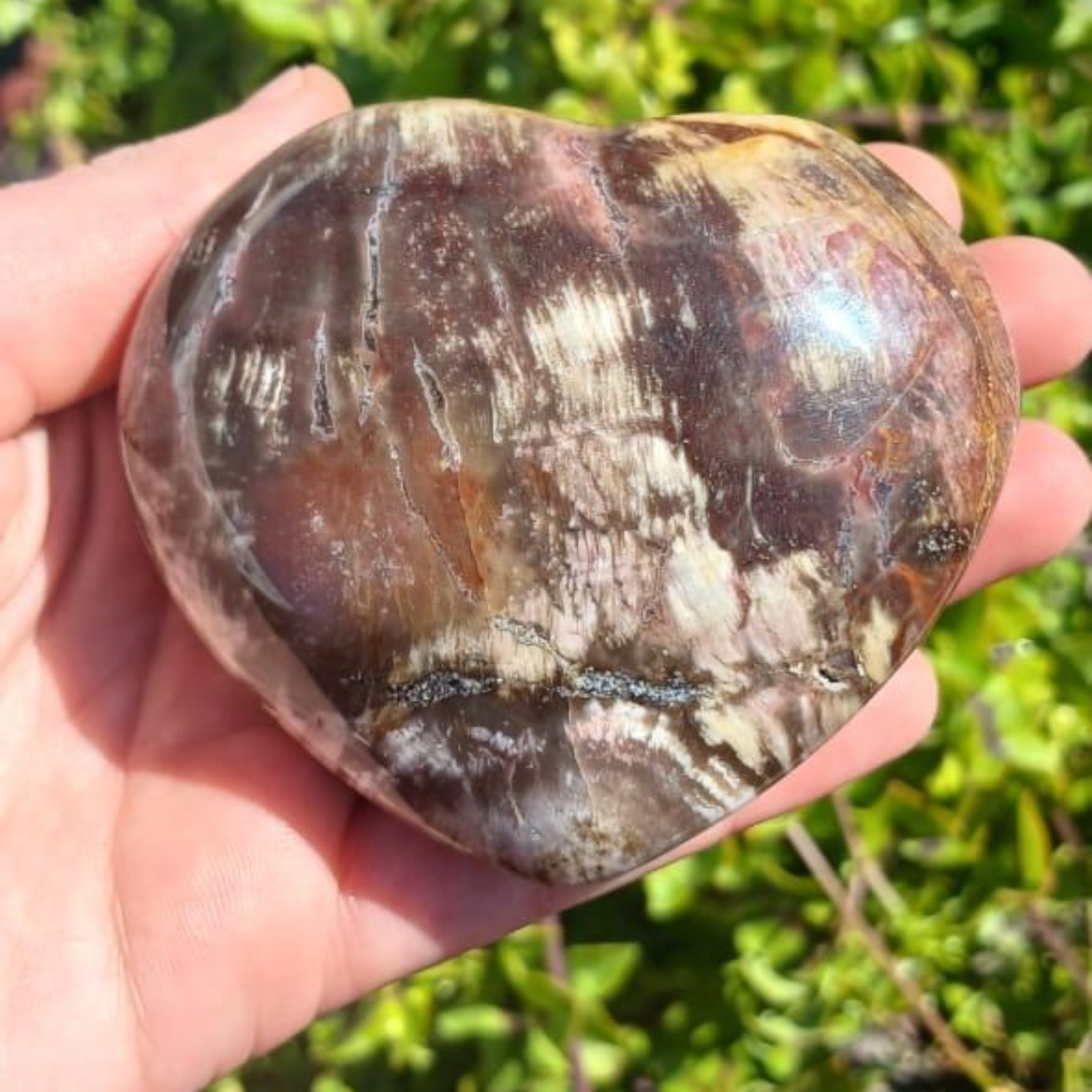 PETRIFIED WOOD HEART MADAGASCAR 