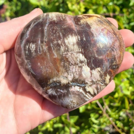 PETRIFIED WOOD HEART MADAGASCAR 