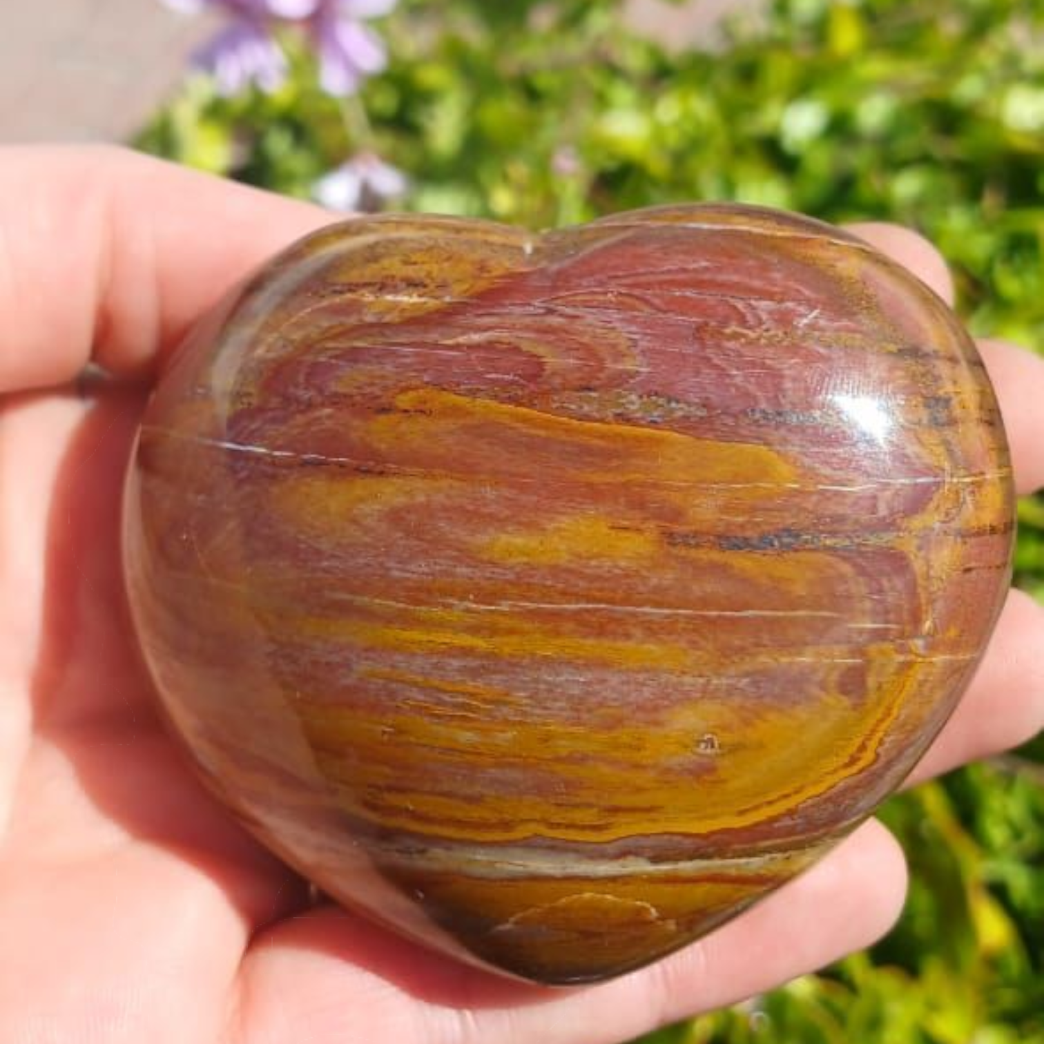 PETRIFIED WOOD HEART MADAGASCAR 