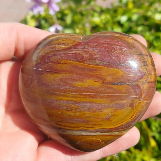 PETRIFIED WOOD HEART MADAGASCAR 