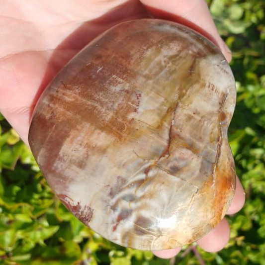 PETRIFIED WOOD HEART MADAGASCAR 