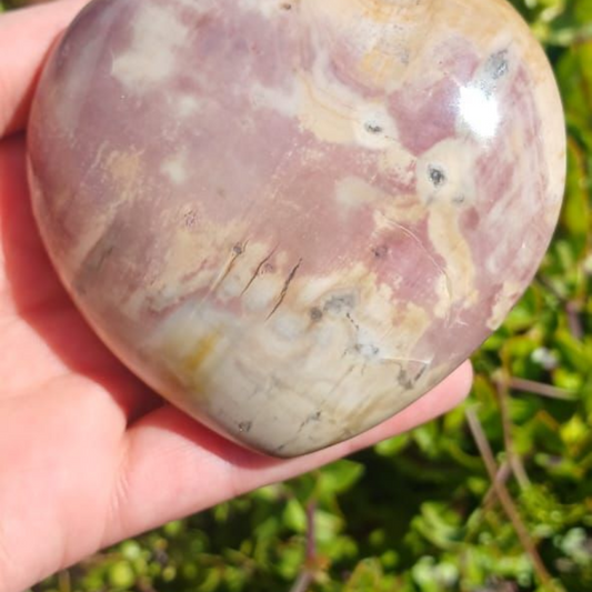 PETRIFIED WOOD HEART MADAGASCAR 