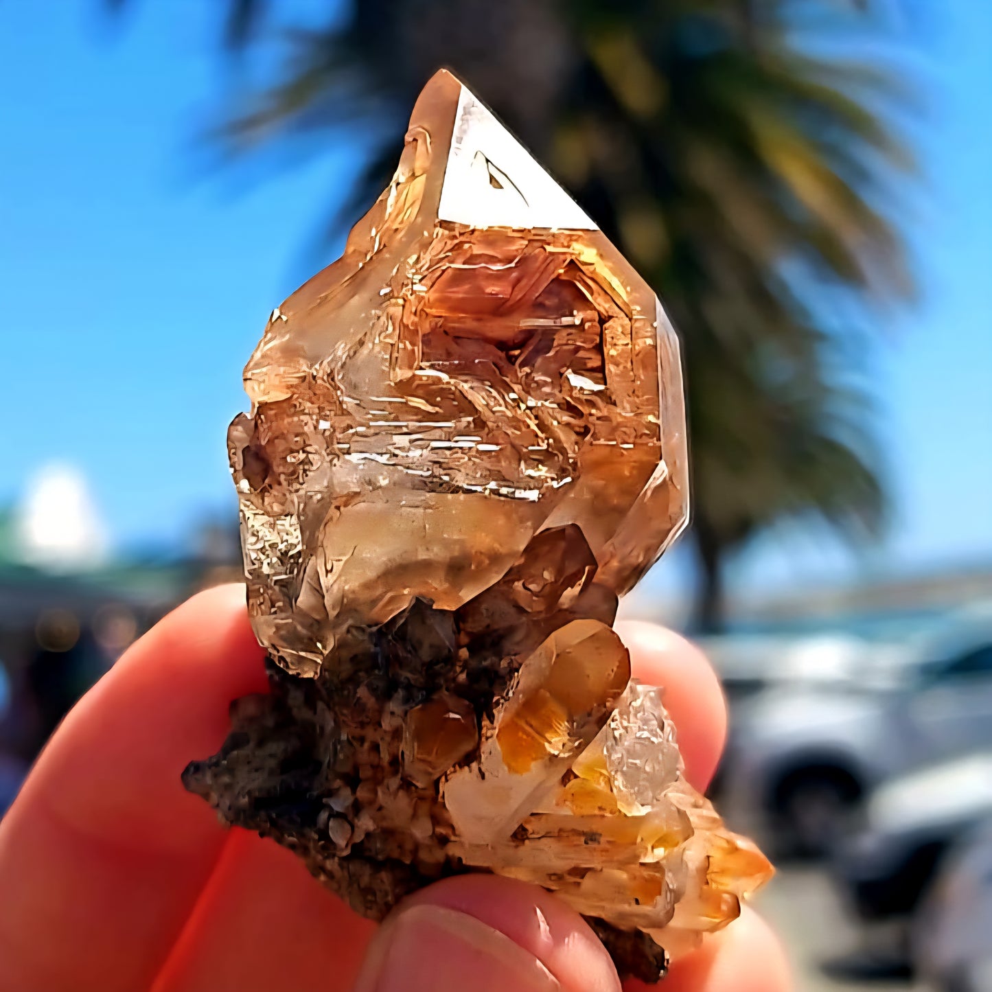 Skeletal Fenster Sceptre Smokey Smokey Brandberg Point  66g