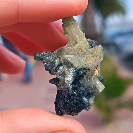 Aquamarine, Black Tourmaline (Schorl) cluster From Erongo - 8g