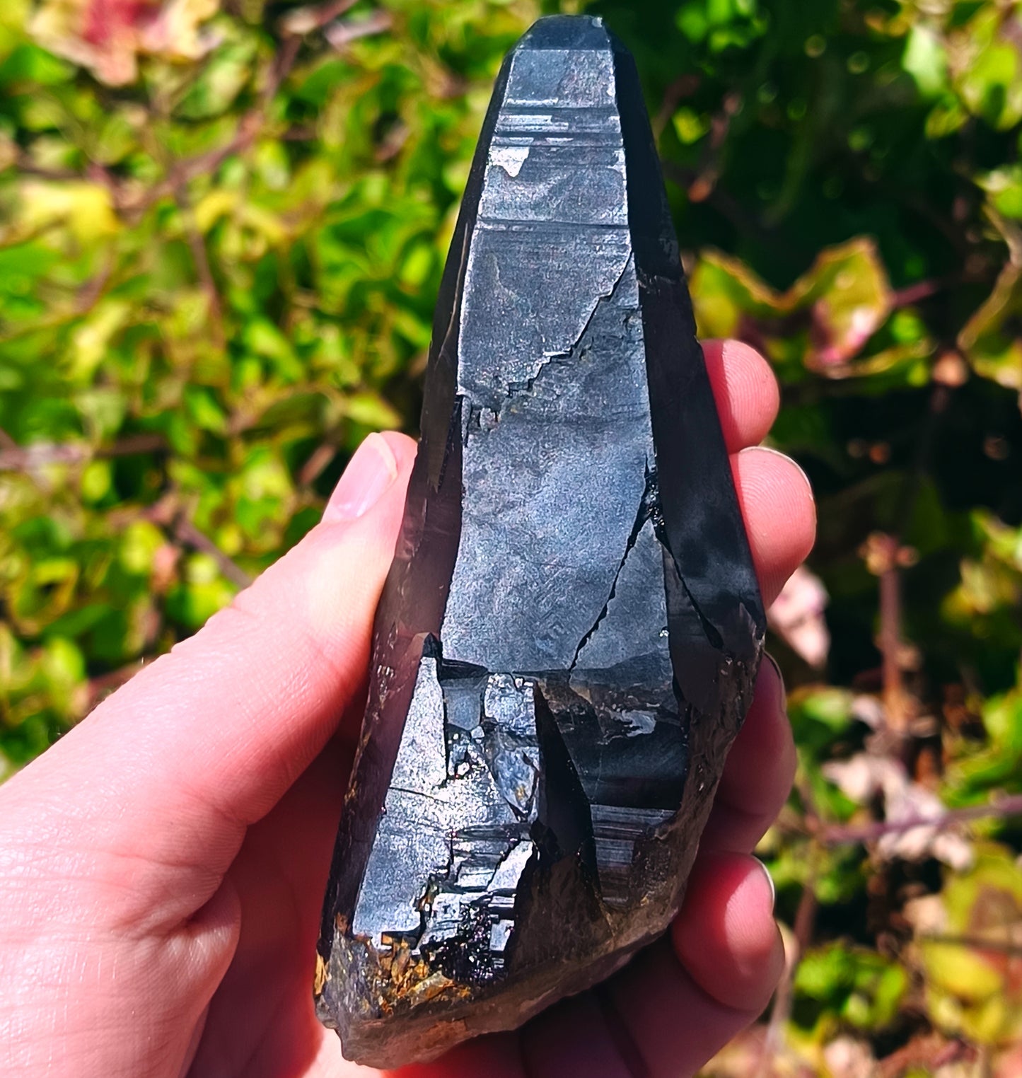Morion Smokey Quartz Tessin Habit, Erongo Namibia 212g