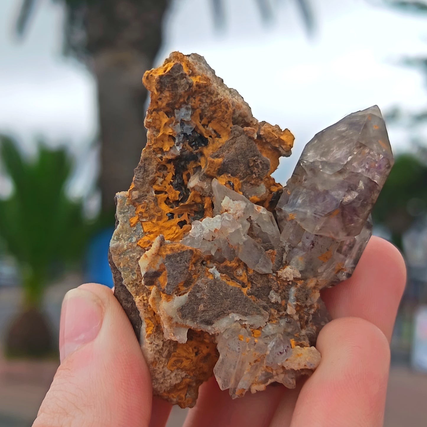 Amethyst with Calcite in a vug within Basalt matrix, Namibia