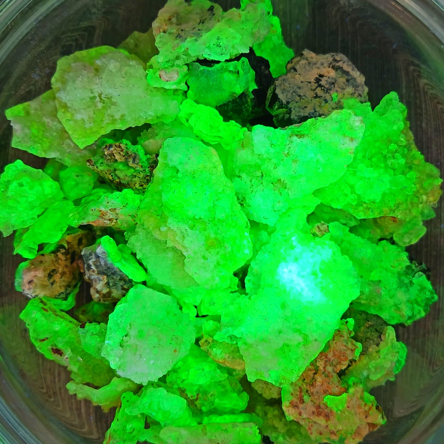 Fluorescent Botryoidal Hyalite Opal  - 1-6g