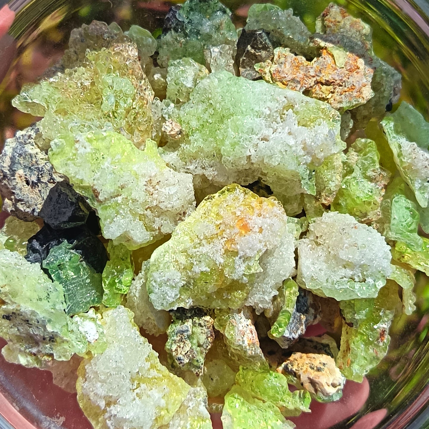 Fluorescent Botryoidal Hyalite Opal  - 1-6g