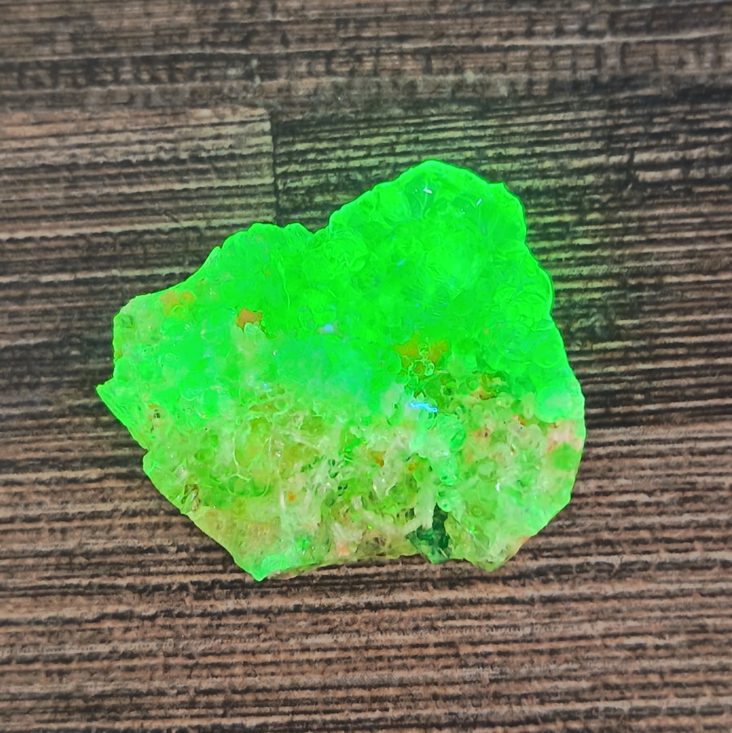 Fluorescent Botryoidal Hyalite Opal - Erongo -  6g