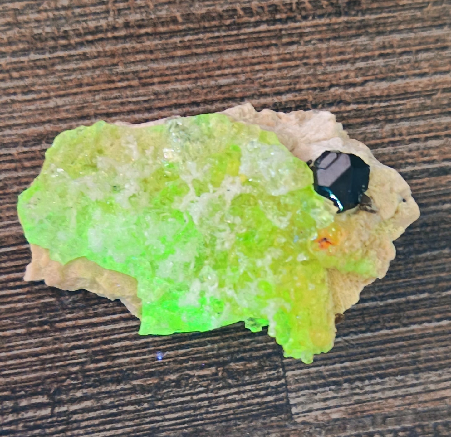 Fluorescent Botryoidal Hyalite Opal with one black Tourmaline crystal -  10g