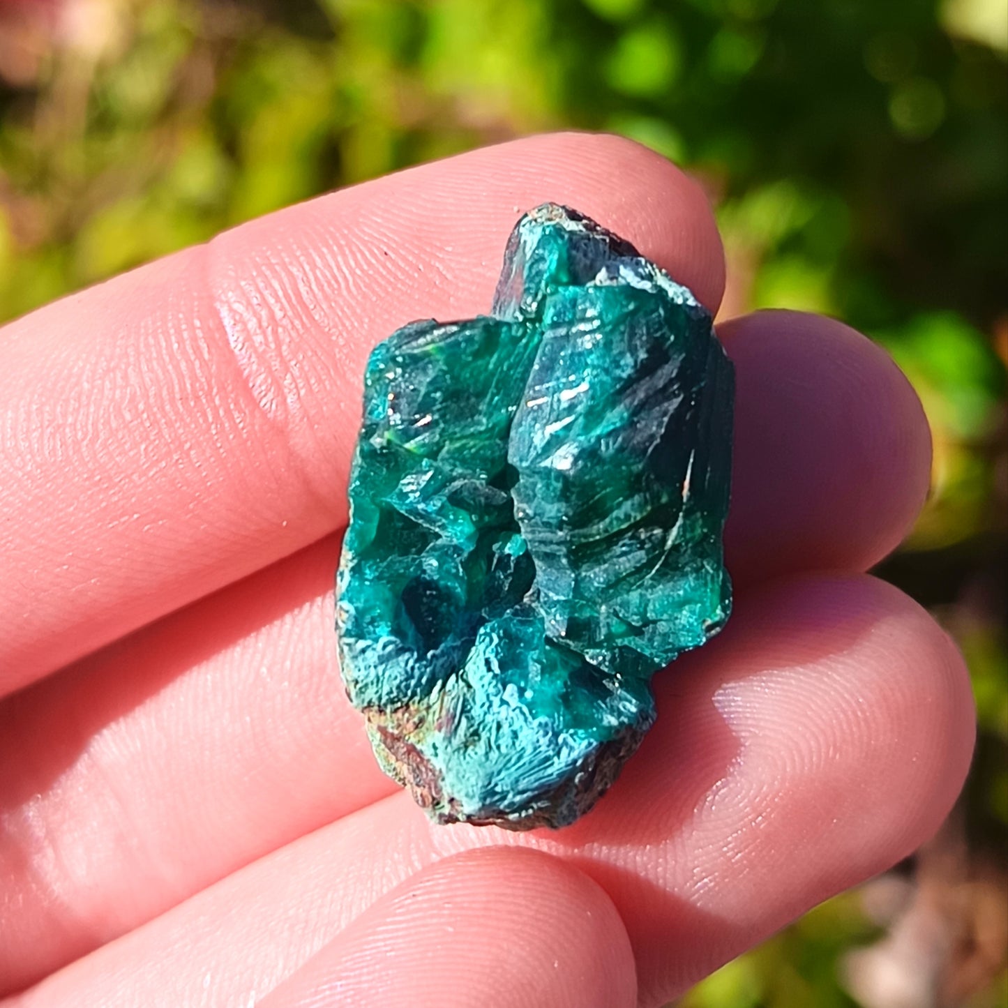 Dioptase Crystals - Tsumeb - 4-32g