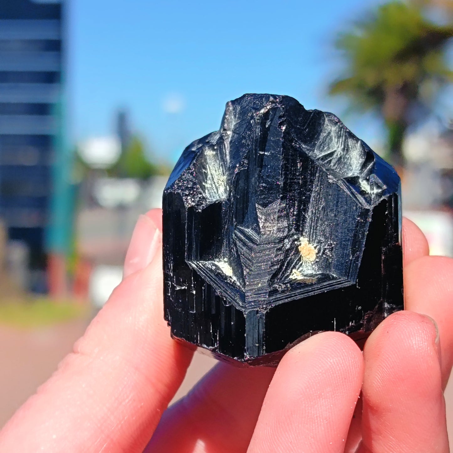 Black Tourmaline From Erongo - 77g