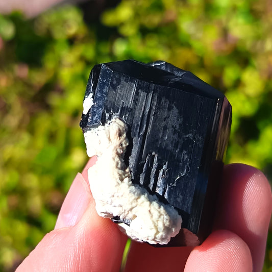 Black Tourmaline From Erongo - 36g