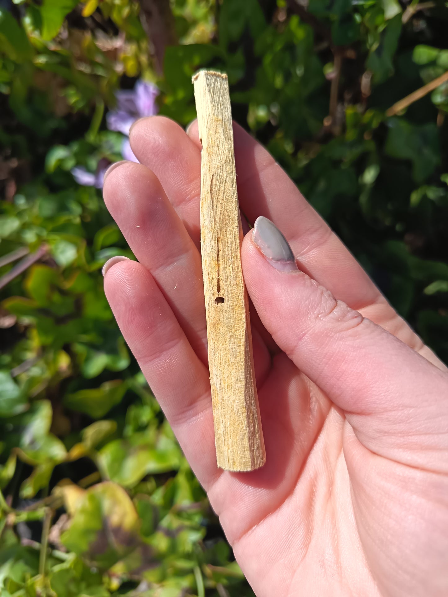 Palo Santo Single Stick