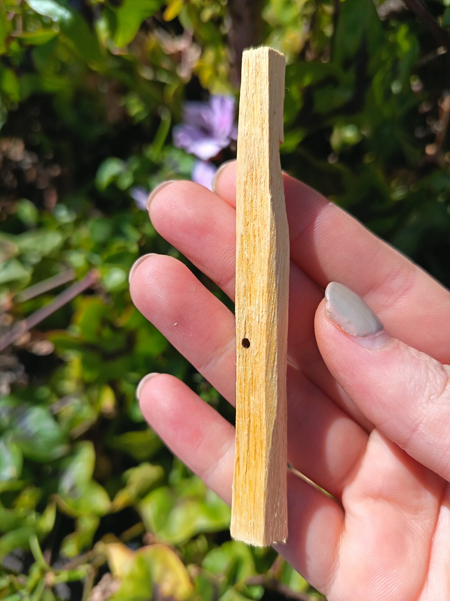 Palo Santo Single Stick