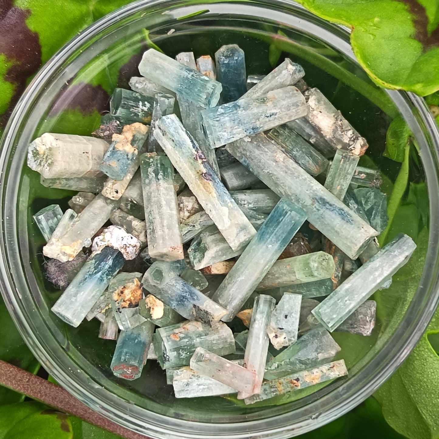 Aquamarine