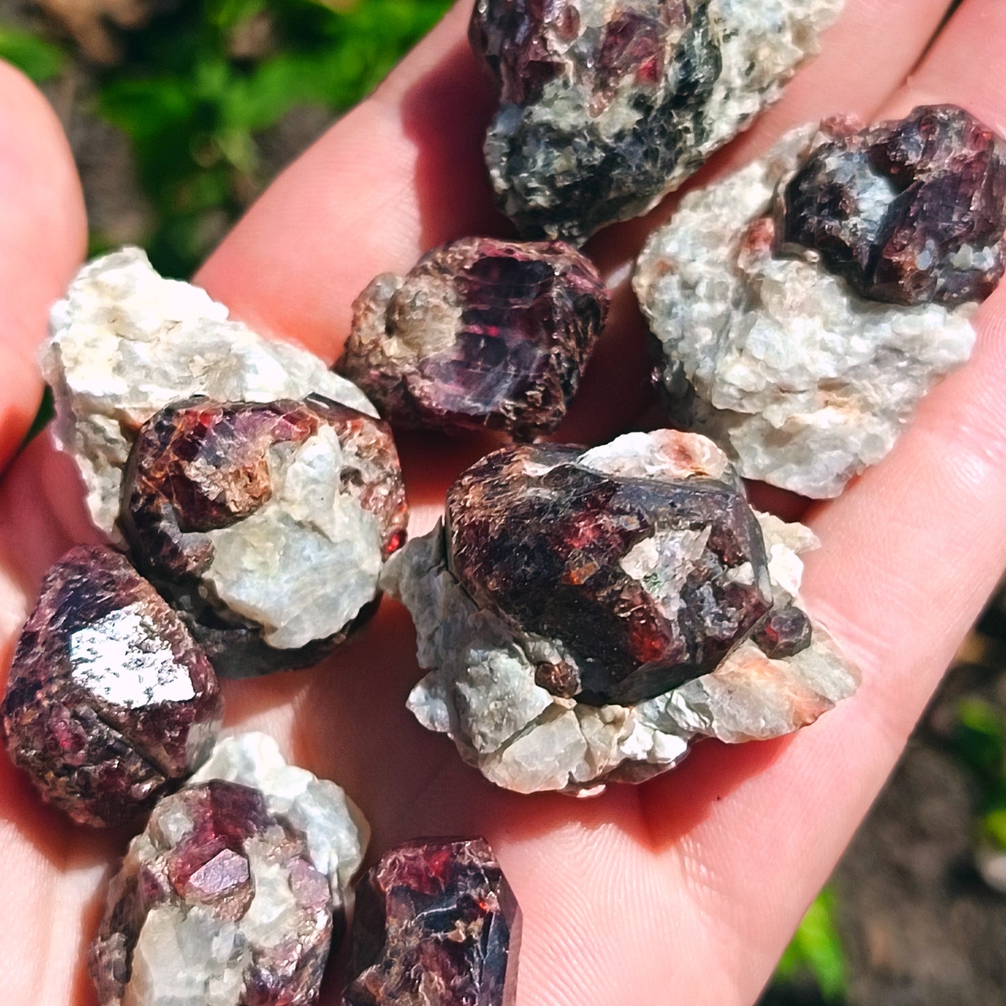 Garnet On Schist Karibib 15g