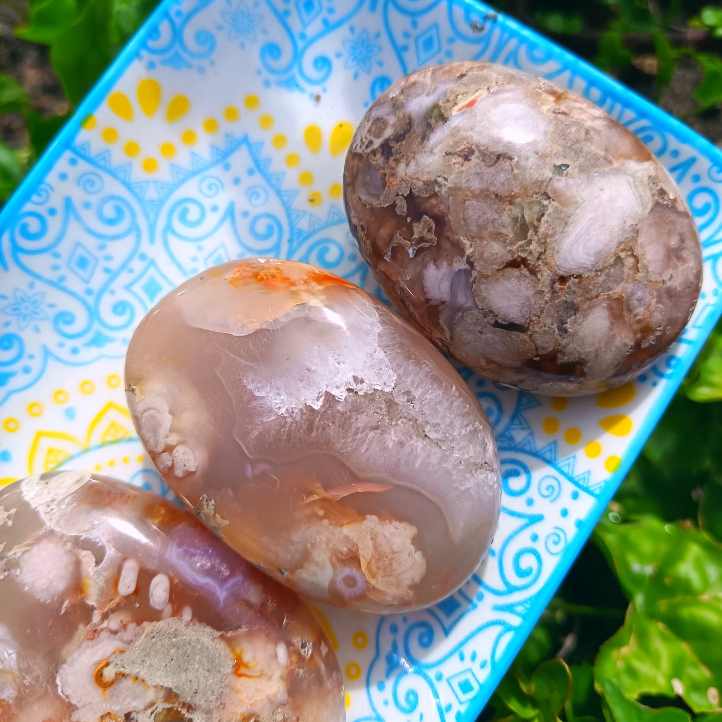 Ocean Flower Agate Fossil Gallet