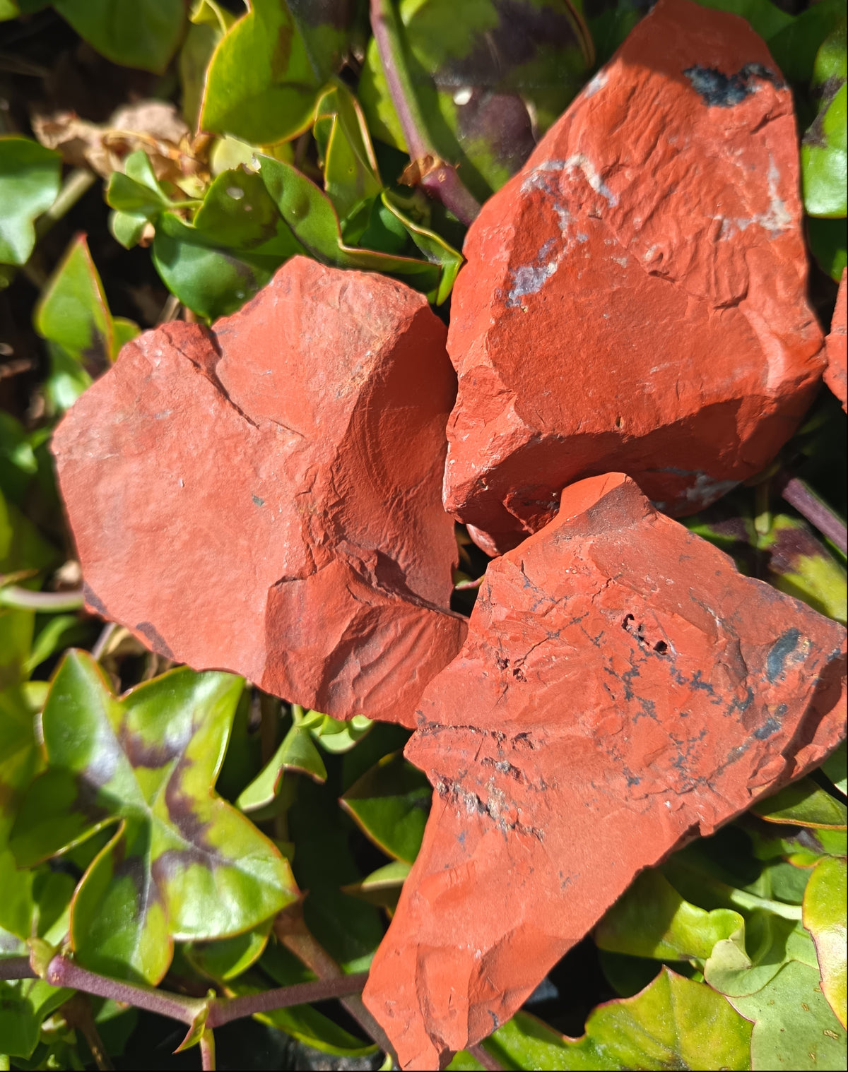 Red Jasper Raw