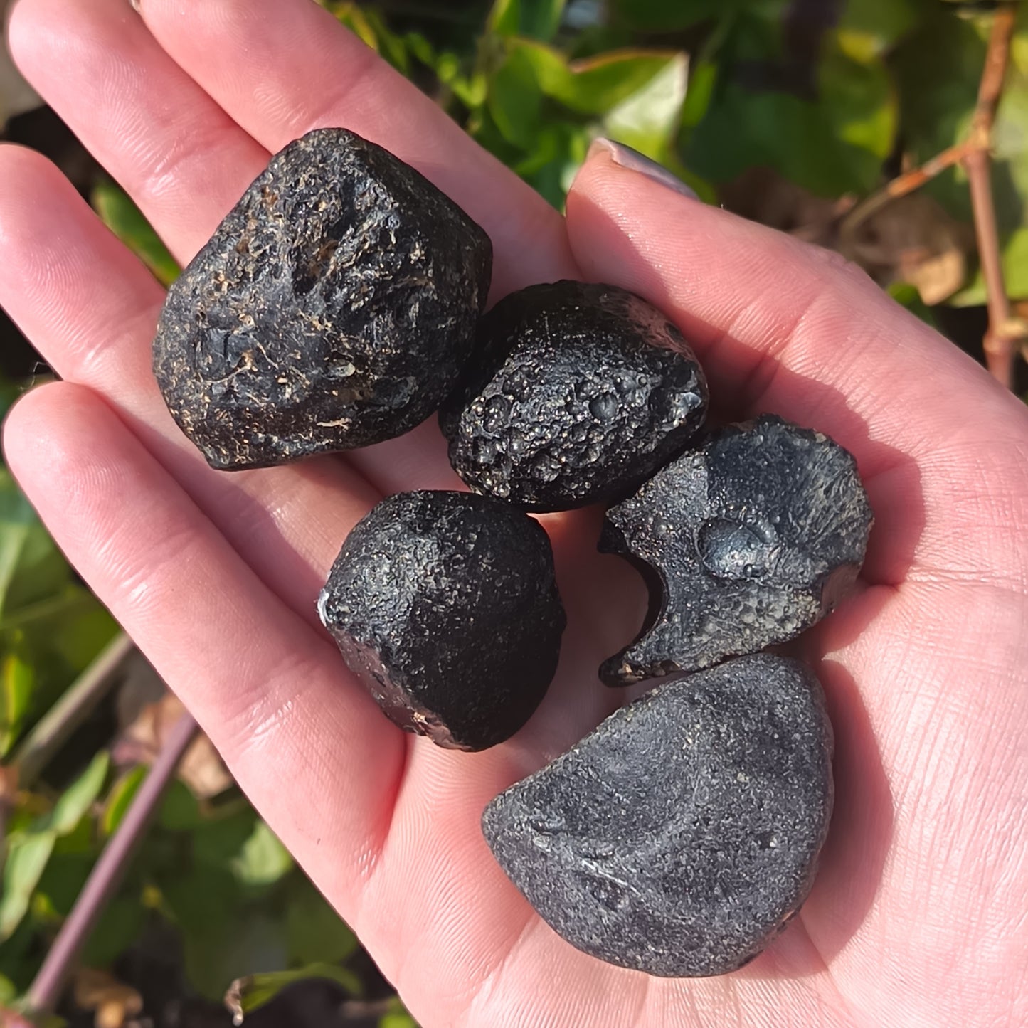 Tektite