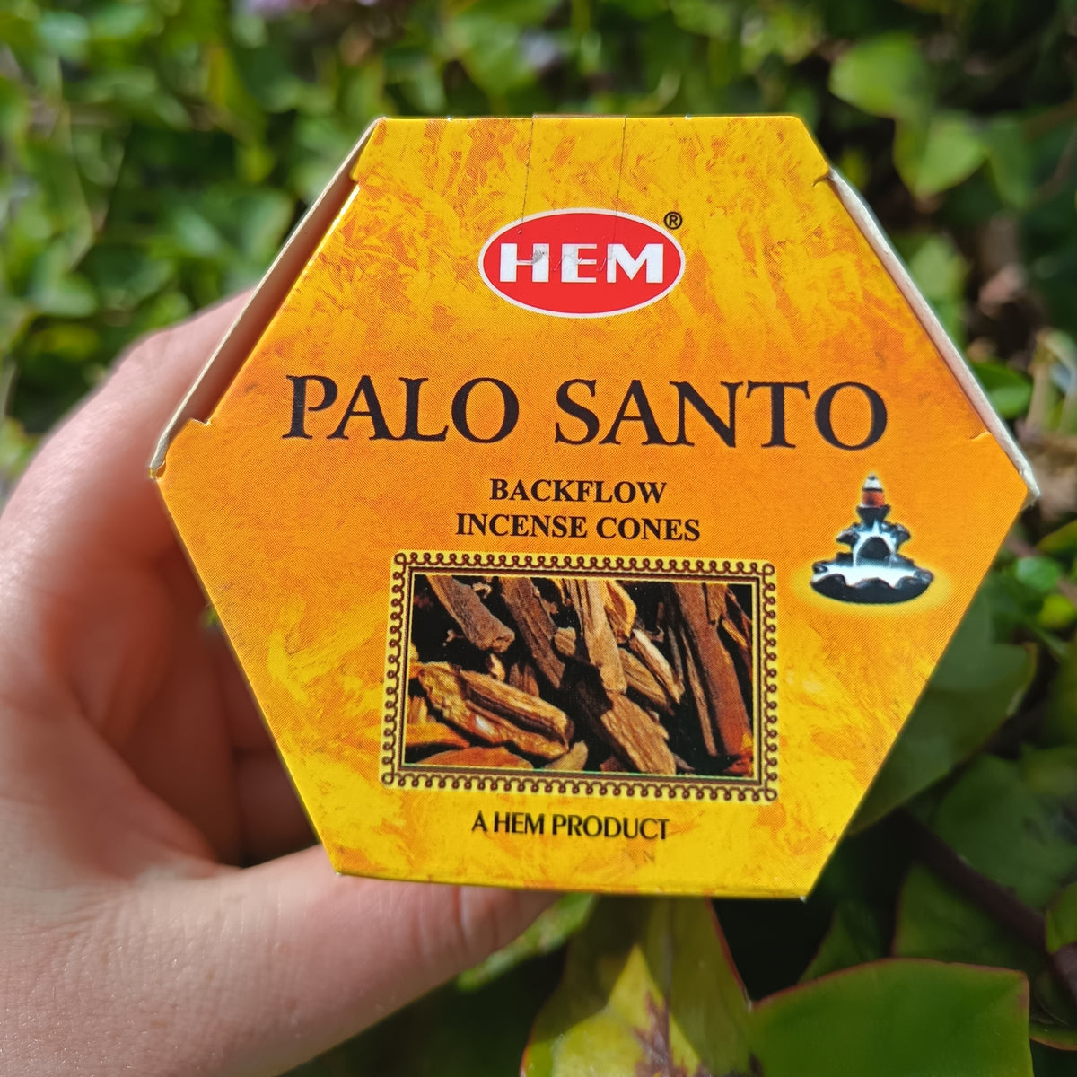 INCENSE CONES HEM PALO SANTO 40S BACKFLOW