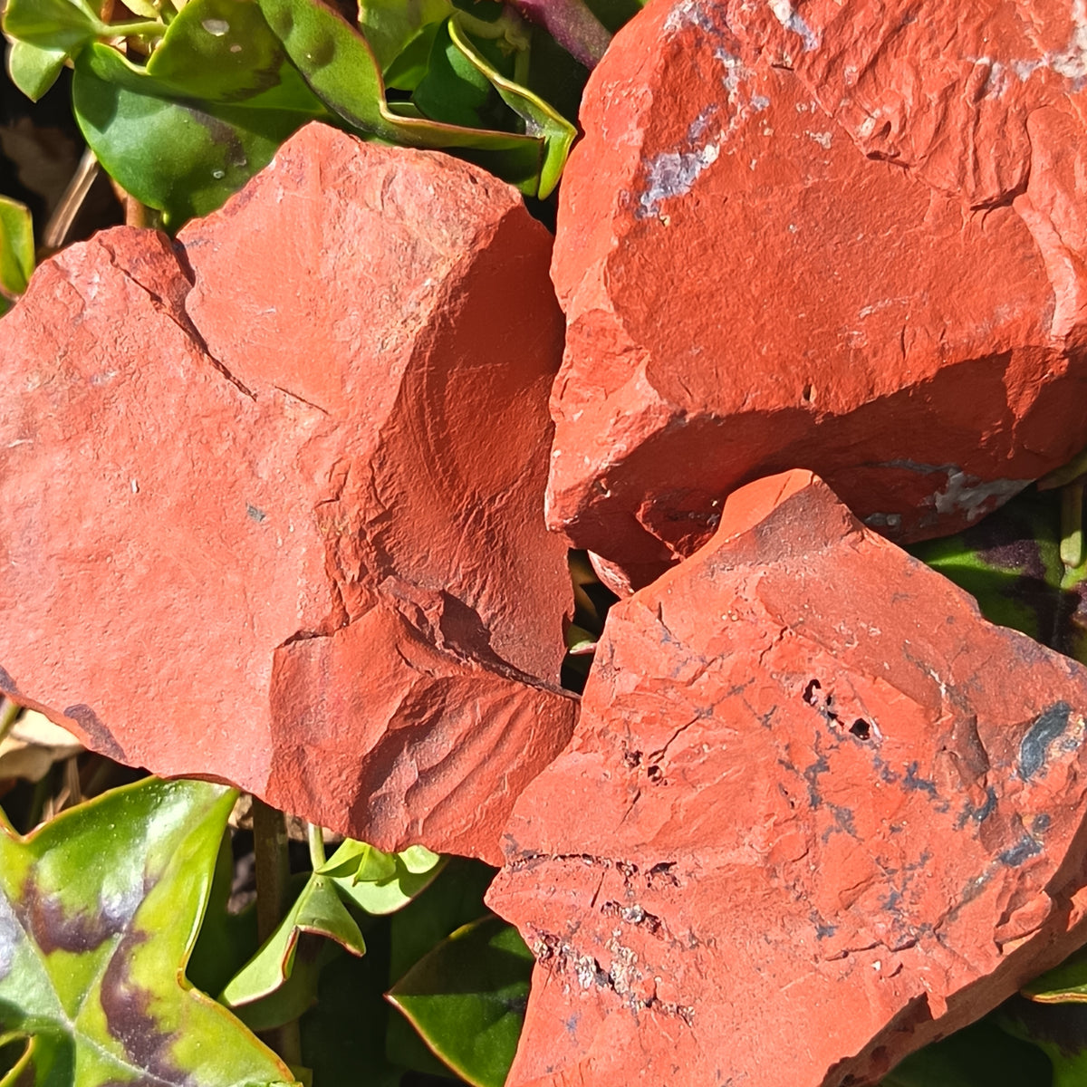 Red Jasper Raw