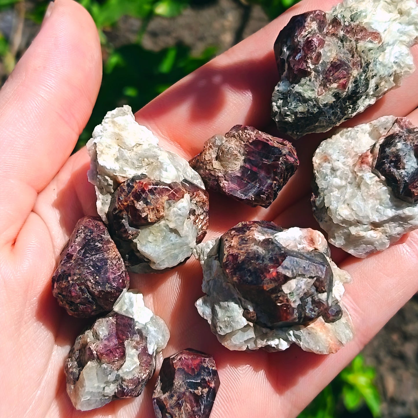 Garnet On Schist Karibib 15g