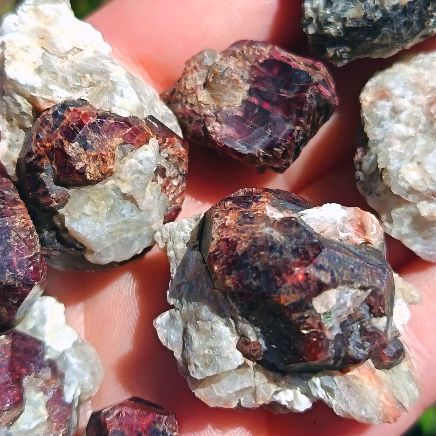 Garnet On Schist Karibib 15g
