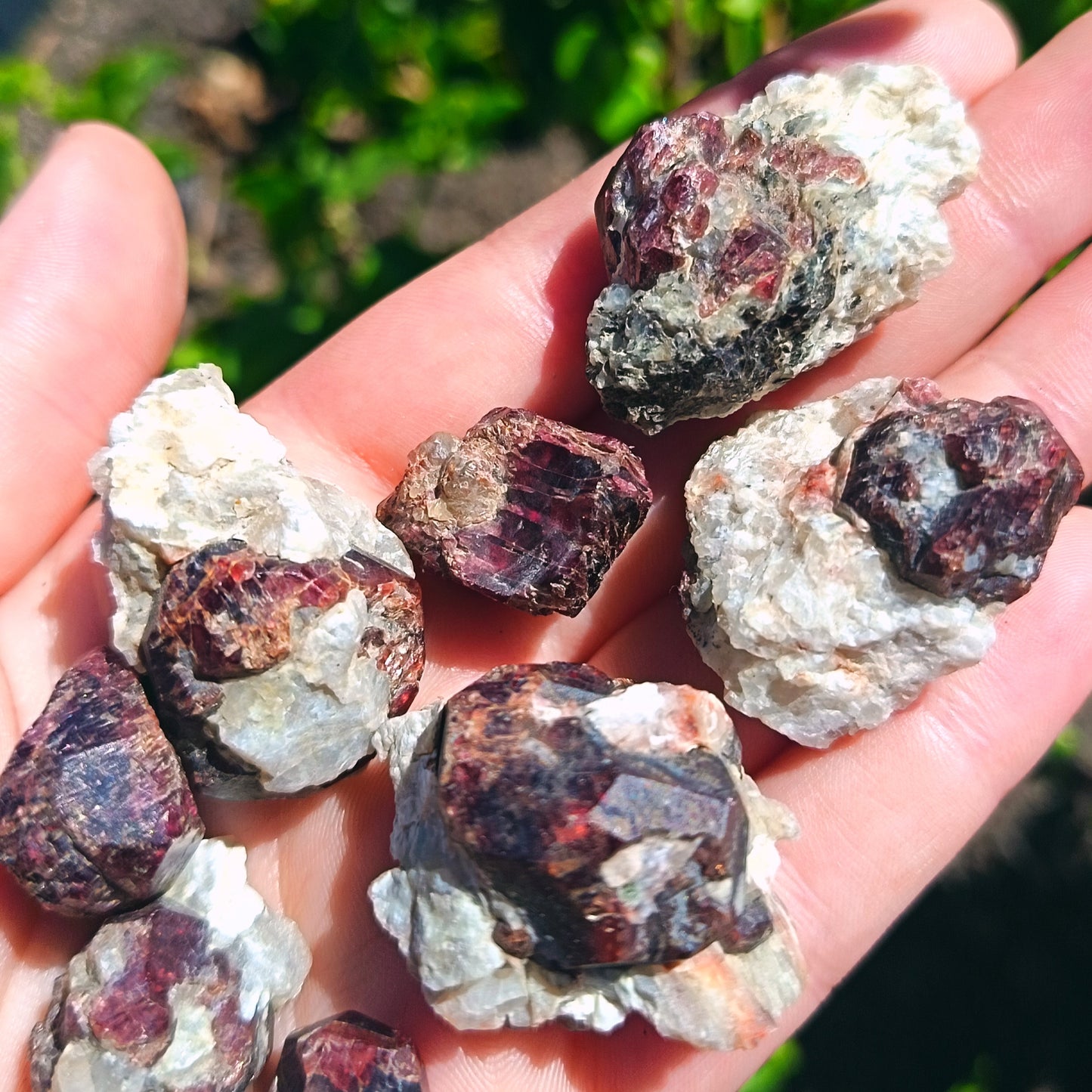 Garnet On Schist Karibib 15g
