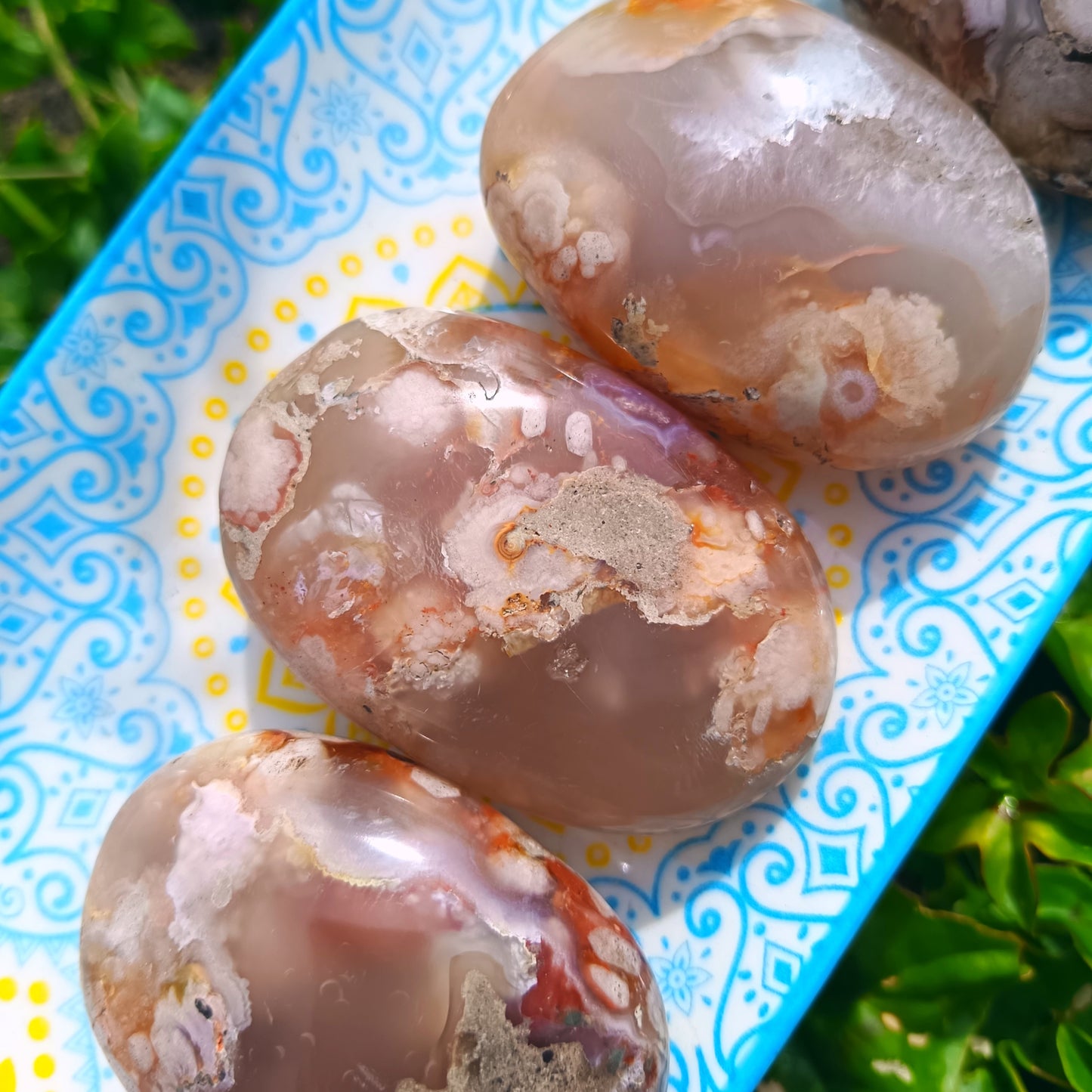 Ocean Flower Agate Fossil Gallet