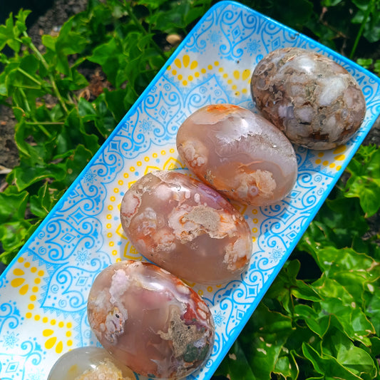 Ocean Flower Agate Fossil Gallet